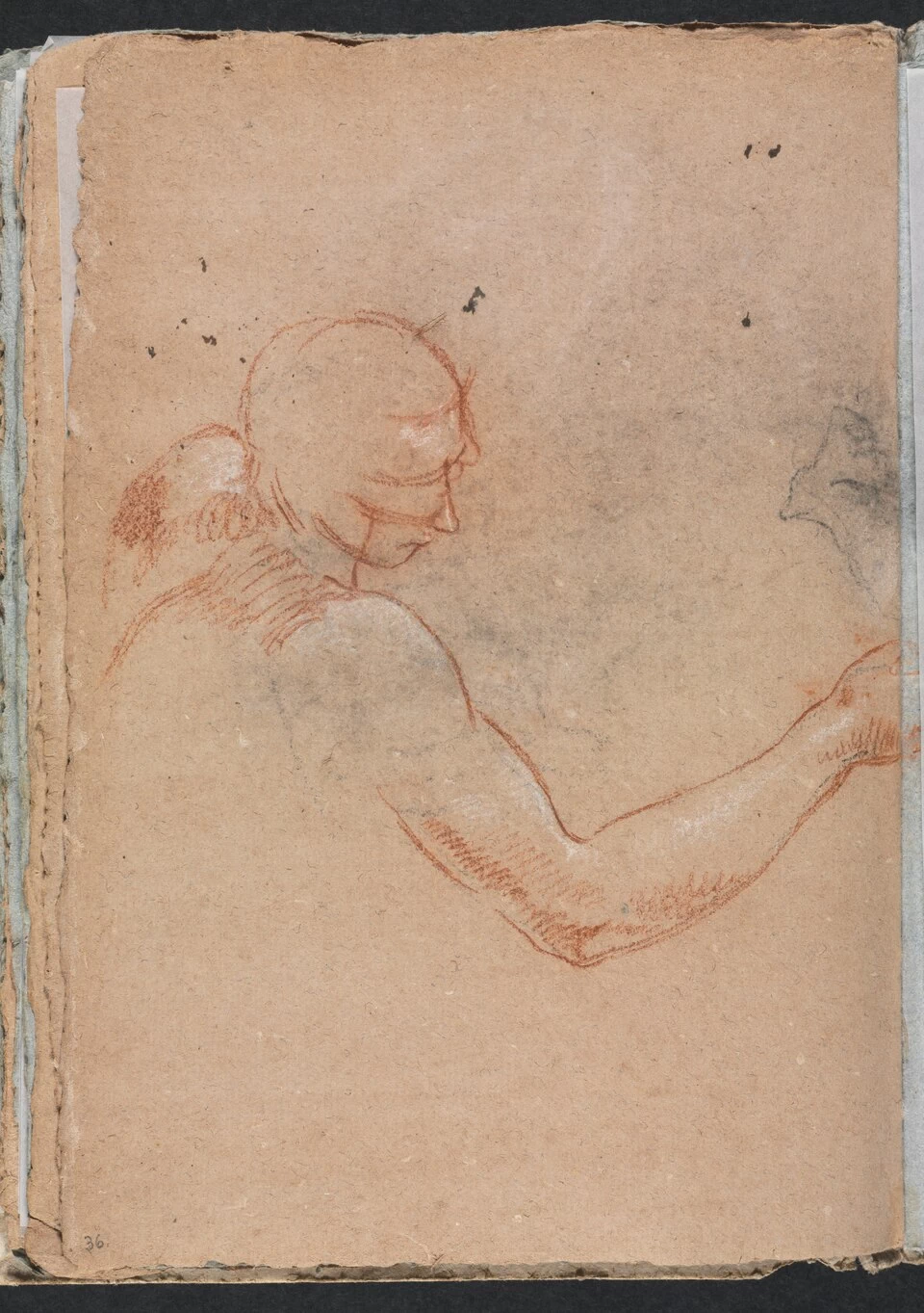 Nudo con testa e braccio destro - Cleveland Museum of Art